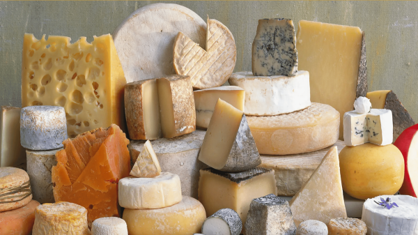پنیر رژیمی چیست؟ آنالیز ویژگی ها، انواع و انتخاب پنیر پنیر رژیمی چیست؟ آنالیز ویژگی ها، انواع و انتخاب پنیر